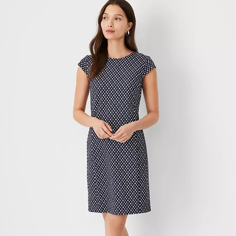 ANN TAYLOR DRESS
